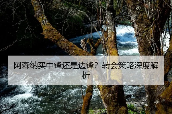 阿森纳买中锋还是边锋？转会策略深度解析