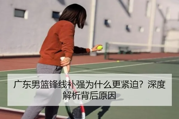 广东男篮锋线补强为什么更紧迫？深度解析背后原因